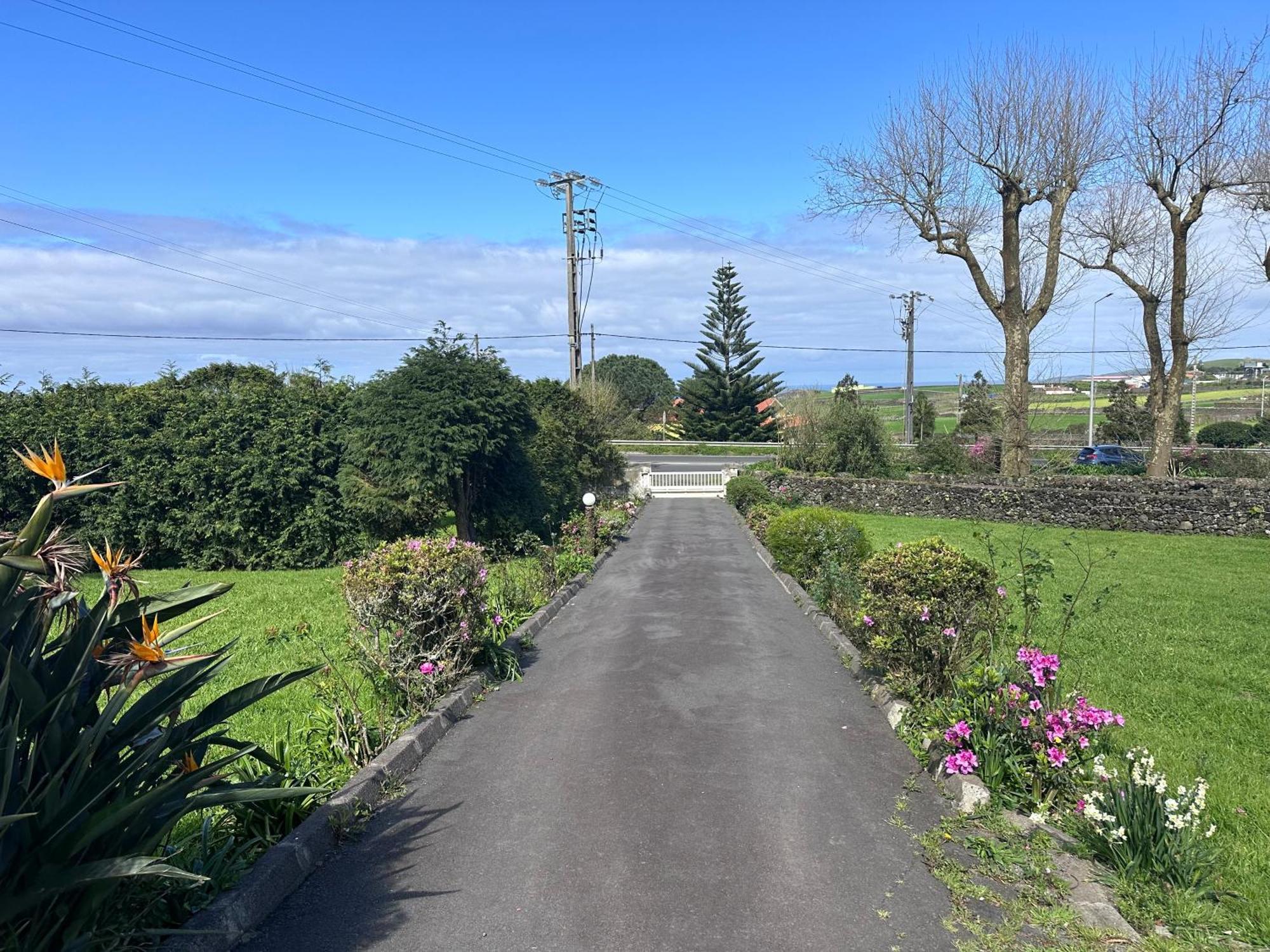 Quinta Relax Azores Ribeira Grande Ngoại thất bức ảnh